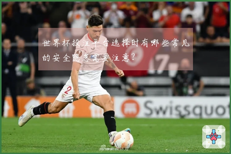 世界杯投注平台选择时有哪些常见的安全隐患需要注意？