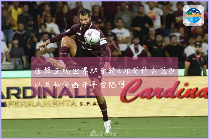 选择正规世界杯竞猜app有什么区别以及如何避开平台陷阱