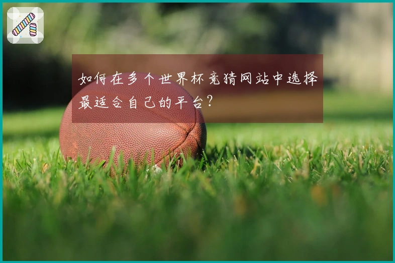如何在多个世界杯竞猜网站中选择最适合自己的平台？