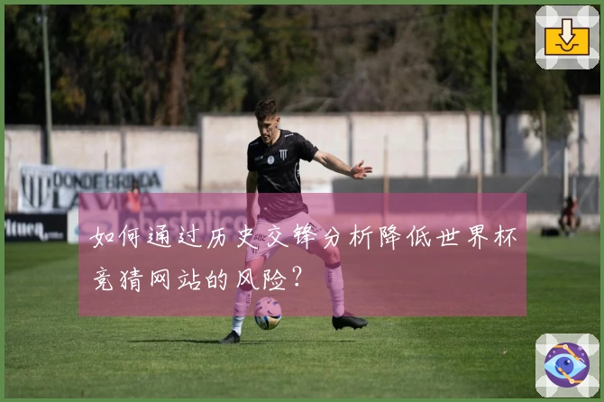 如何通过历史交锋分析降低世界杯竞猜网站的风险？