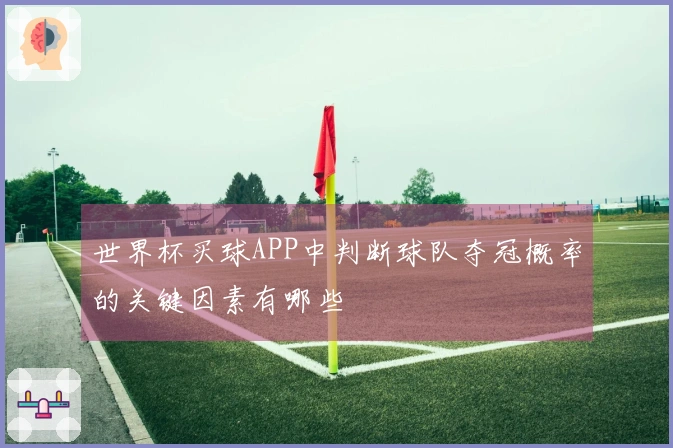 世界杯买球APP中判断球队夺冠概率的关键因素有哪些