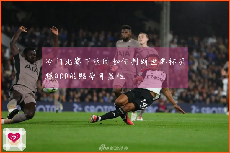 冷门比赛下注时如何判断世界杯买球app的赔率可靠性