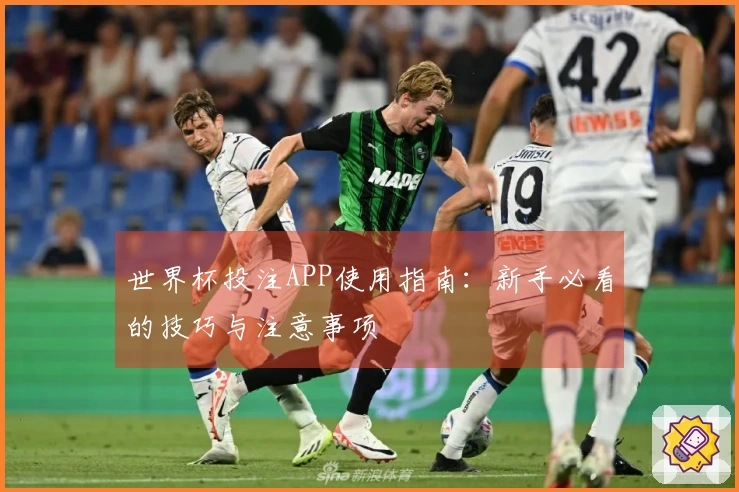 世界杯投注APP使用指南：新手必看的技巧与注意事项