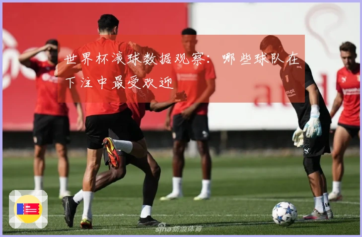 世界杯滚球数据观察：哪些球队在下注中最受欢迎