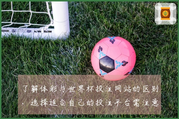 了解体彩与世界杯投注网站的区别，选择适合自己的投注平台需注意哪些要点