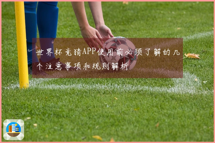 世界杯竞猜APP使用前必须了解的几个注意事项和规则解析