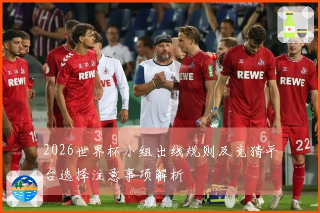 2026世界杯小组出线规则及竞猜平台选择注意事项解析