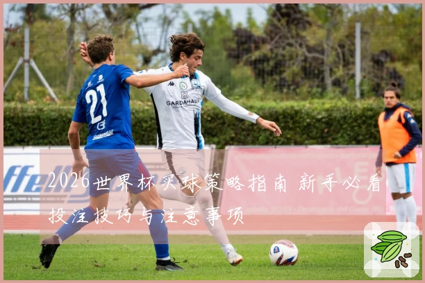 2026世界杯买球策略指南 新手必看投注技巧与注意事项