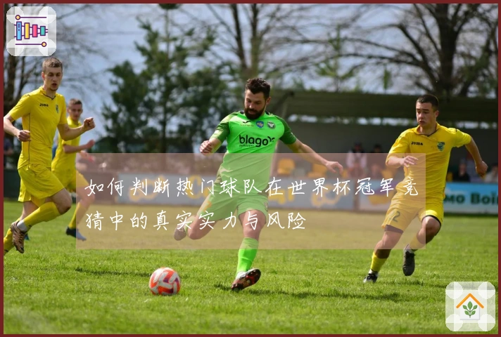 如何判断热门球队在世界杯冠军竞猜中的真实实力与风险