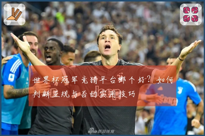 世界杯冠军竞猜平台哪个好？如何判断正规与否的实用技巧
