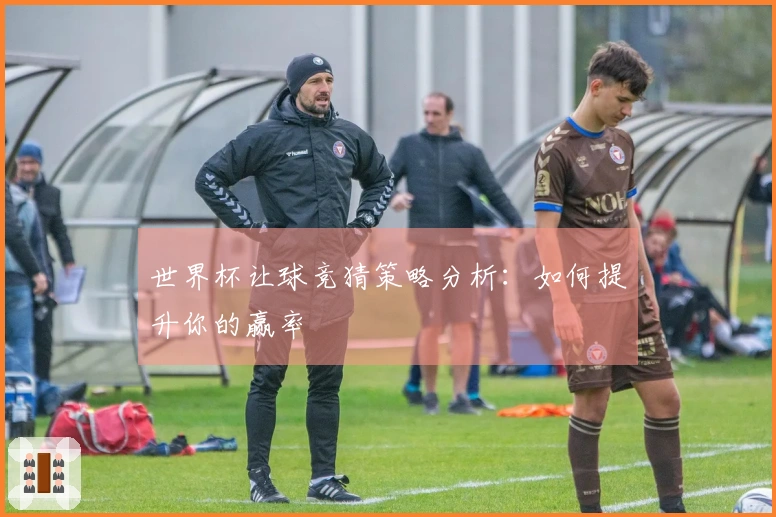 世界杯让球竞猜策略分析：如何提升你的赢率