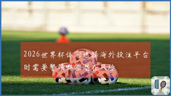 2026世界杯体彩选择海外投注平台时需要警惕哪些潜在风险