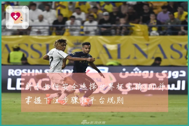 新手如何安全选择世界杯竞猜app并掌握下注步骤和平台规则