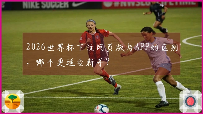 2026世界杯下注网页版与APP的区别，哪个更适合新手？