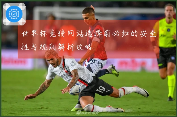 世界杯竞猜网站选择前必知的安全性与规则解析攻略