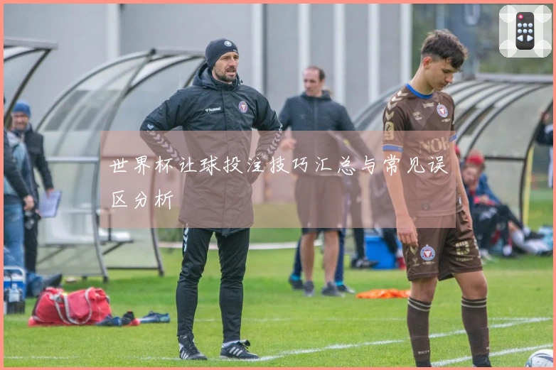 世界杯让球投注技巧汇总与常见误区分析