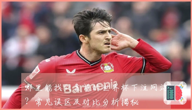 哪里能找到靠谱的世界杯下注网站？常见误区及对比分析揭秘