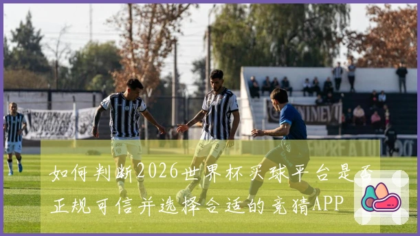 如何判断2026世界杯买球平台是否正规可信并选择合适的竞猜APP