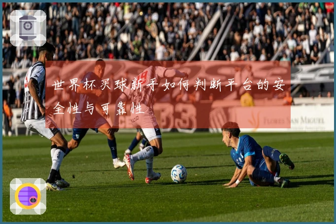 世界杯买球新手如何判断平台的安全性与可靠性