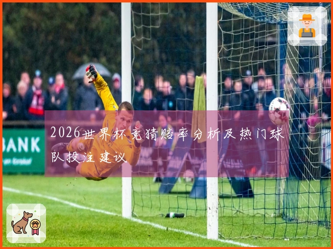 2026世界杯竞猜赔率分析及热门球队投注建议