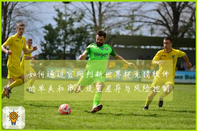 如何通过官网判断世界杯竞猜软件的单关和串关设置差异与风险控制