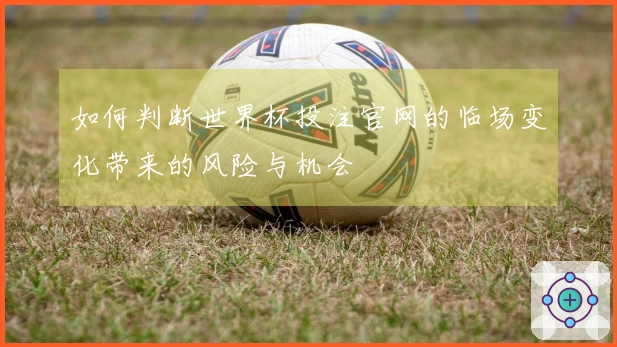 如何判断世界杯投注官网的临场变化带来的风险与机会