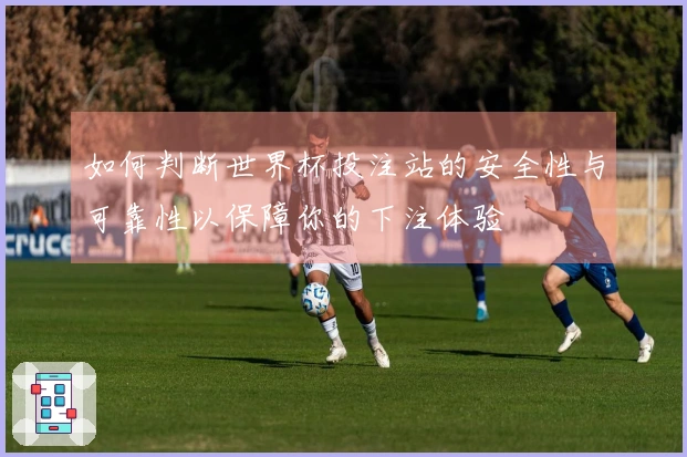 如何判断世界杯投注站的安全性与可靠性以保障你的下注体验