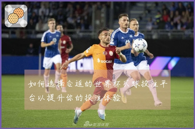 如何选择合适的世界杯买球投注平台以提升你的投注体验