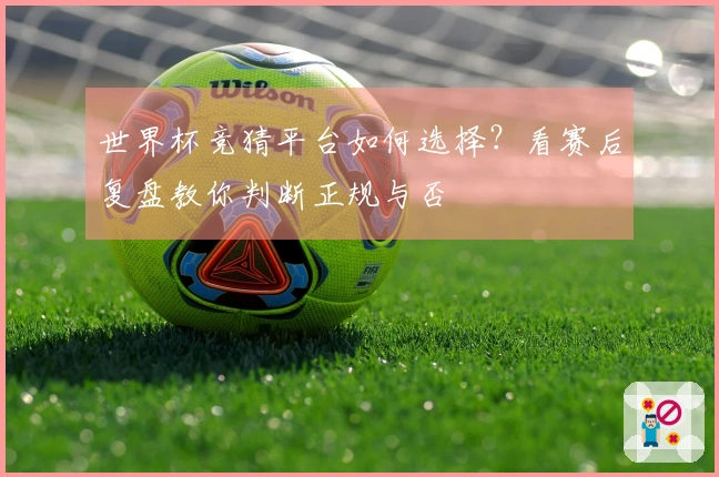 世界杯竞猜平台如何选择？看赛后复盘教你判断正规与否